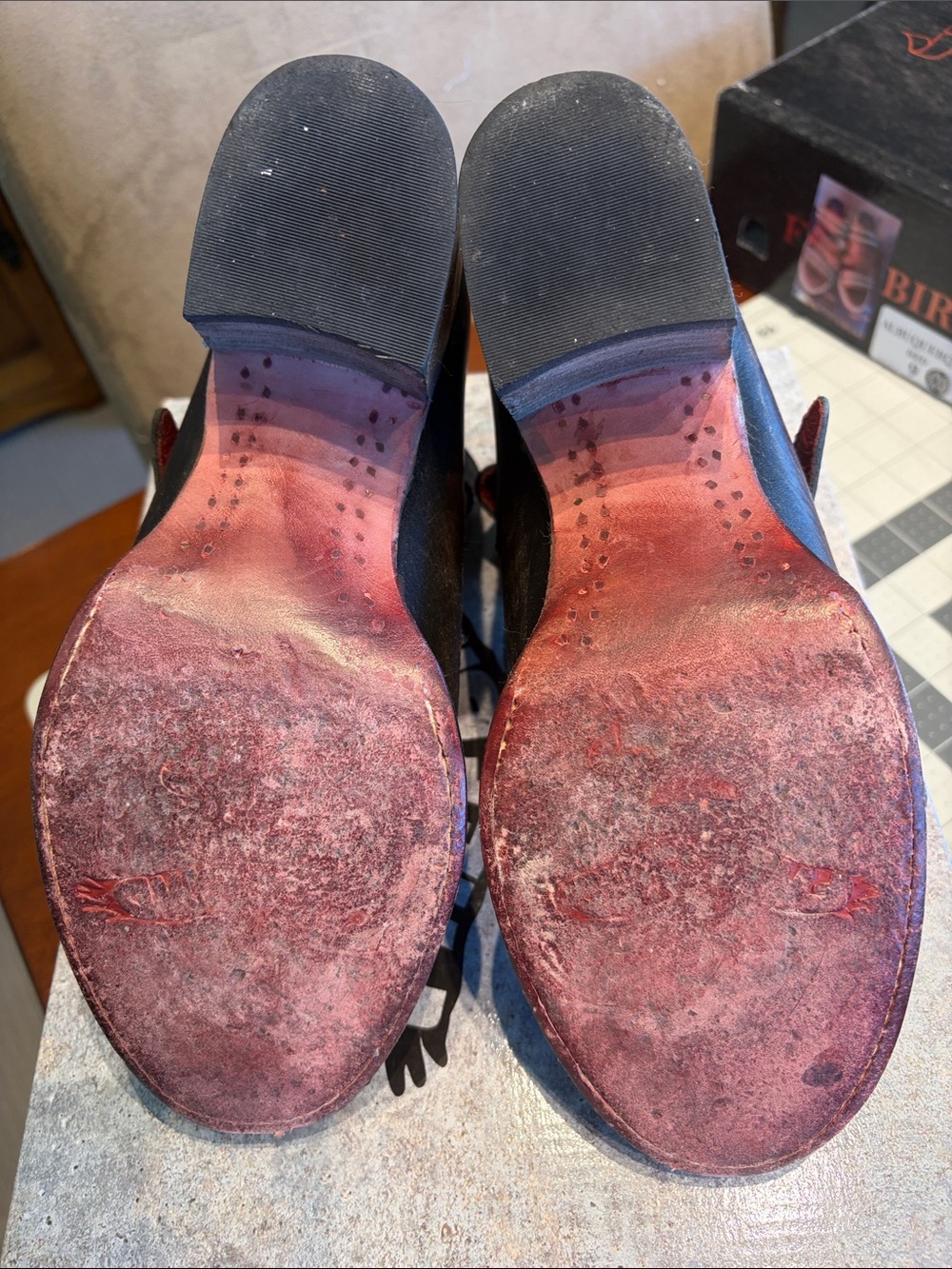 Charlotte Freebird by Steven Black Leather Multi-Strap Ankle Boots - Picture 4 of 6